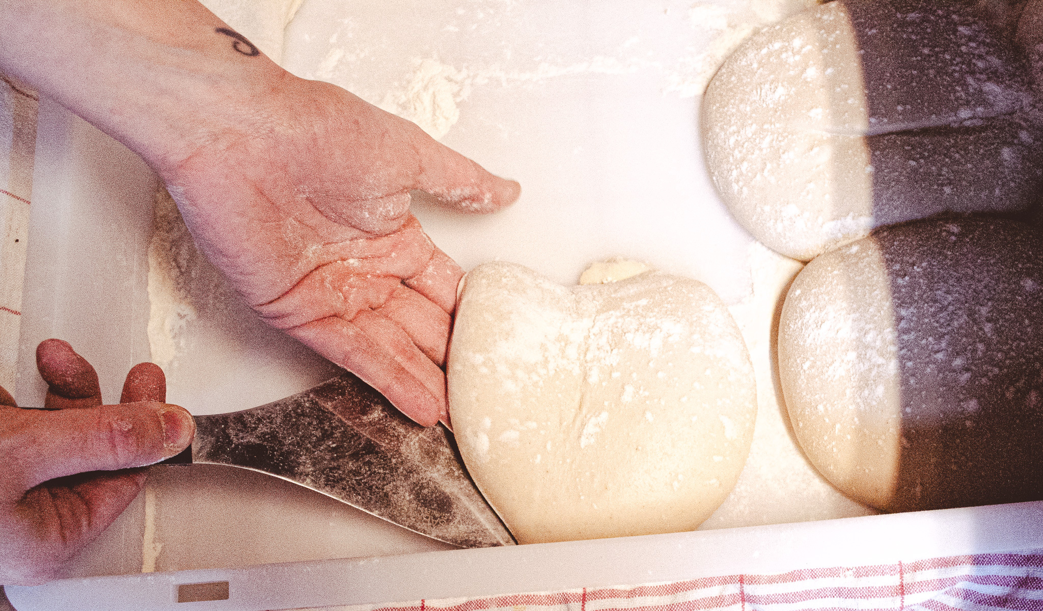 SOTTO_Panetti_dough.jpg SOTTO_Panetti_dough.jpg